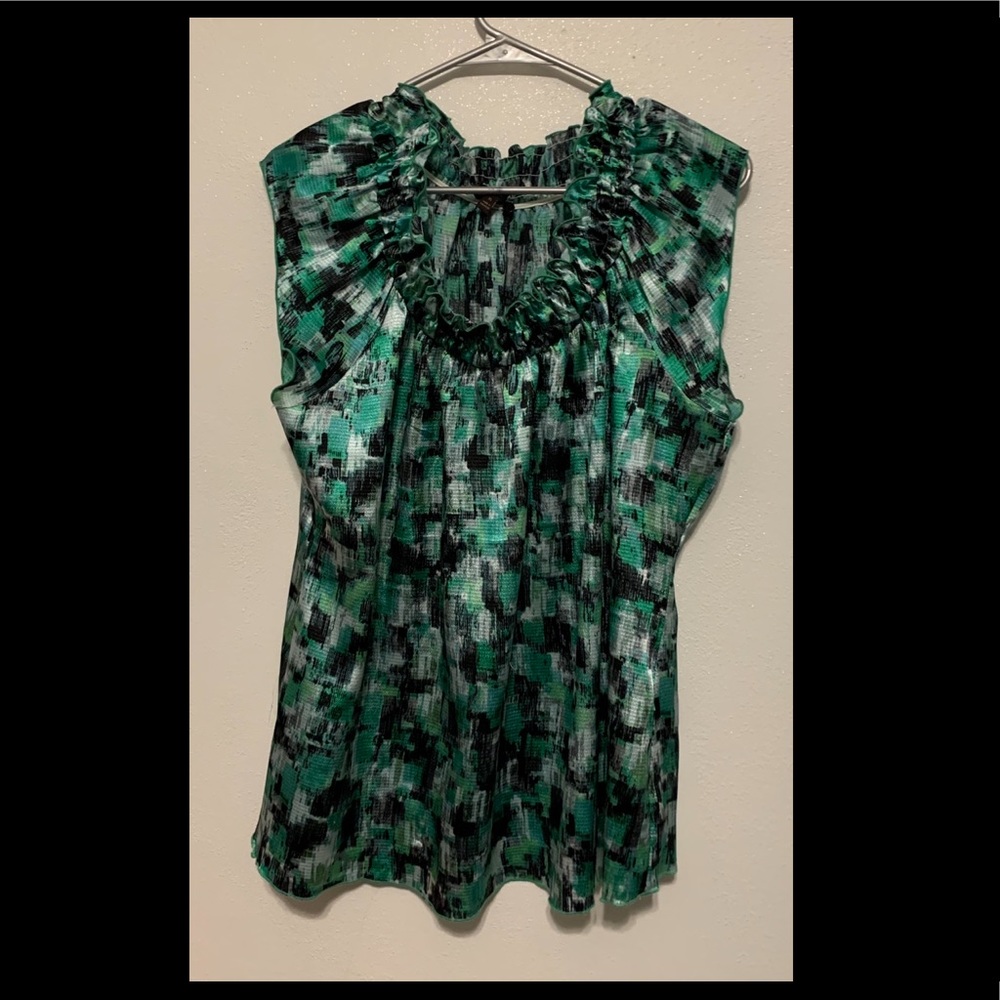 The Limited Blouse
